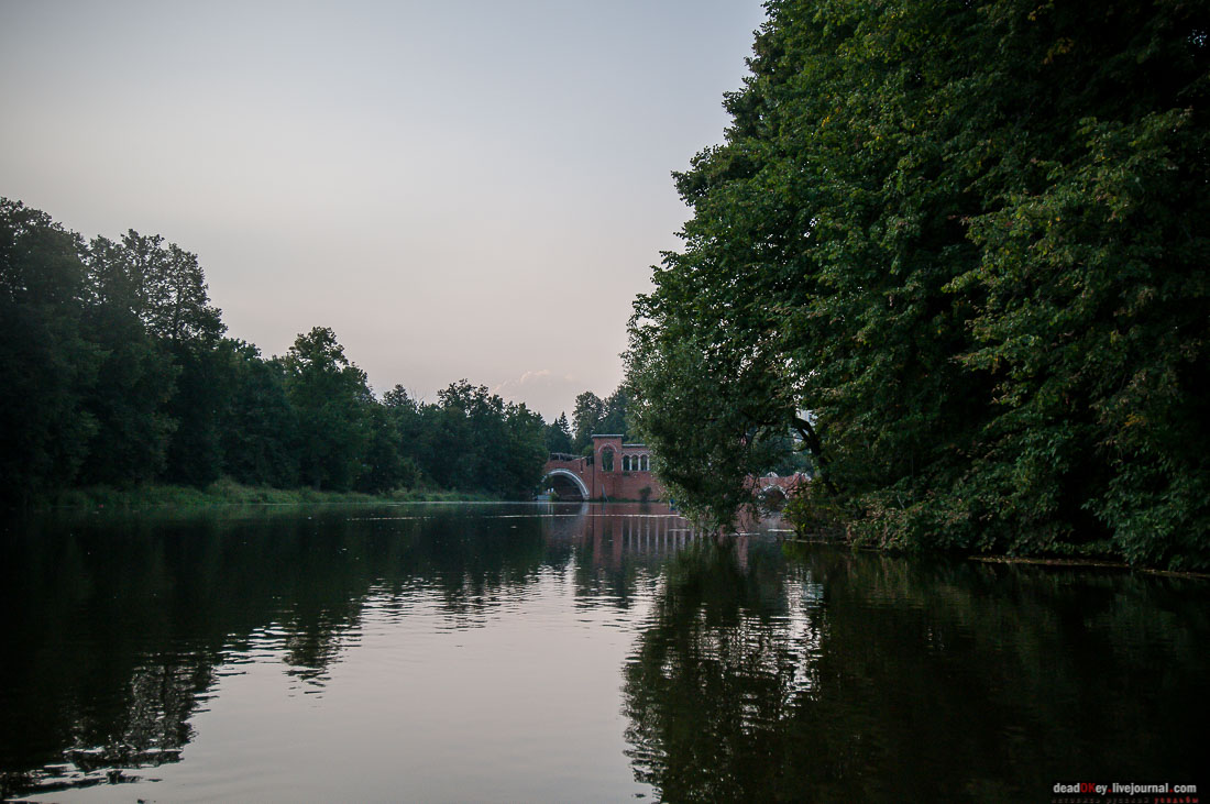 усадьба Марфино - грифонов покрасили