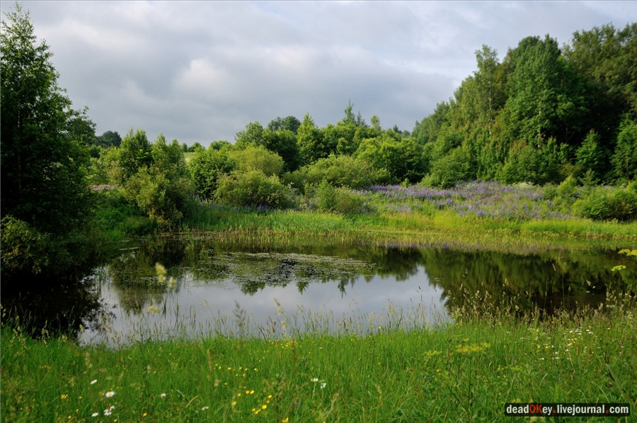 усадьба Кудрявцево