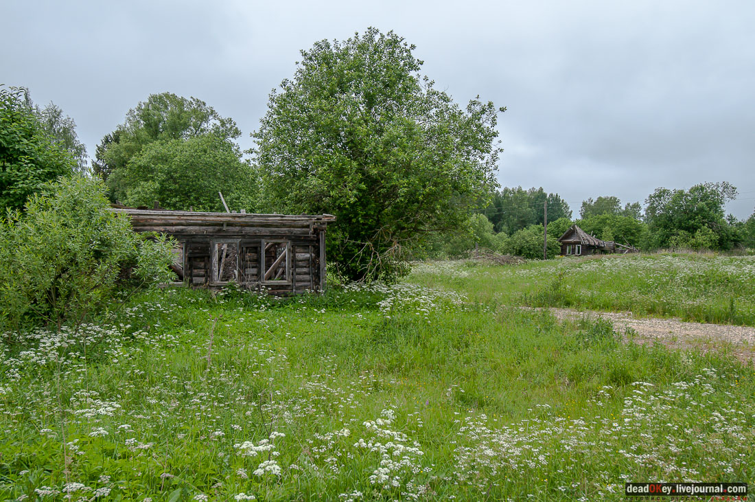 усадьба Арпачево (Тверская область, Новоторжский район, Н.А. Львов)
