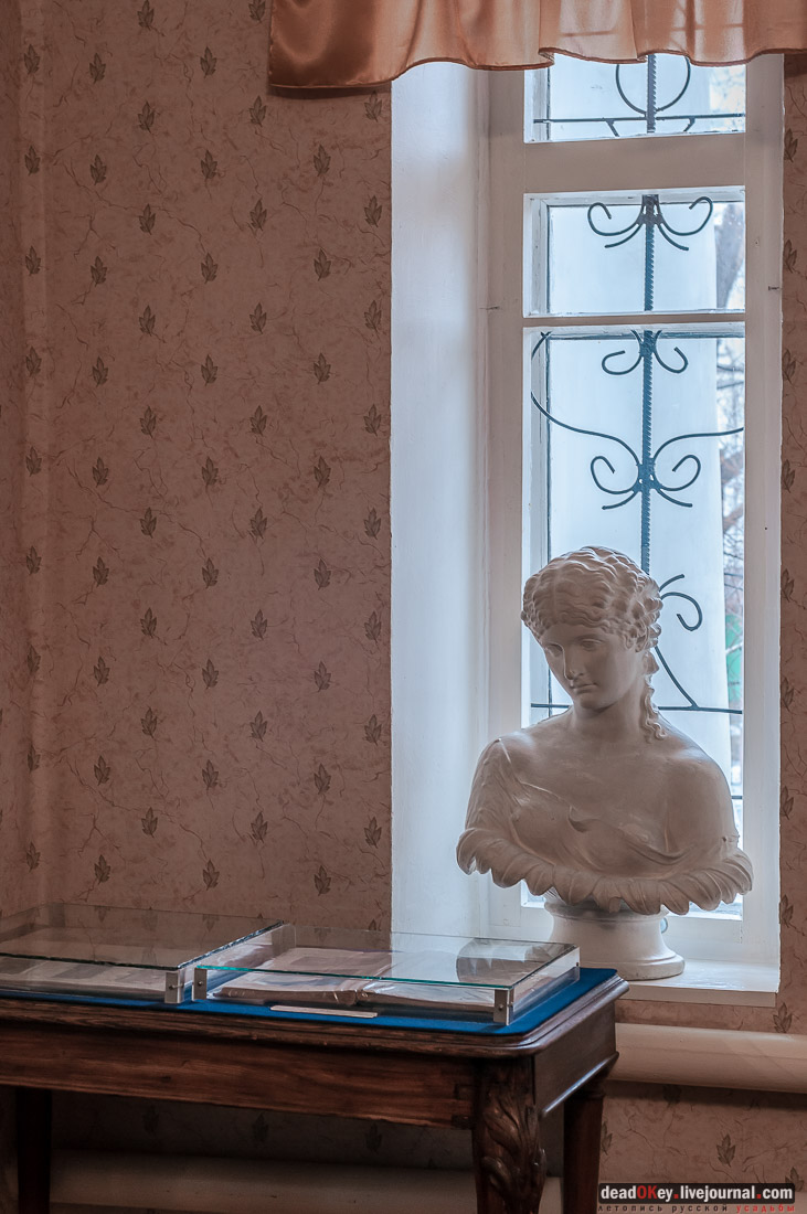 Усадьба Голицыных, г. Мичуринк