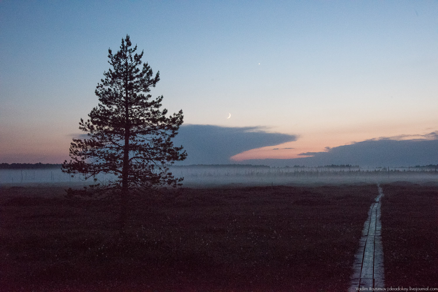 Центрально-лесной государственный природный биосферный заповедник, Нелидовский район, Тверская область, пос. Заповедный