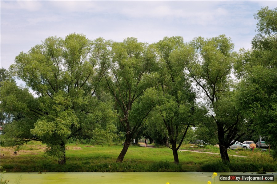 усадьба Сушково