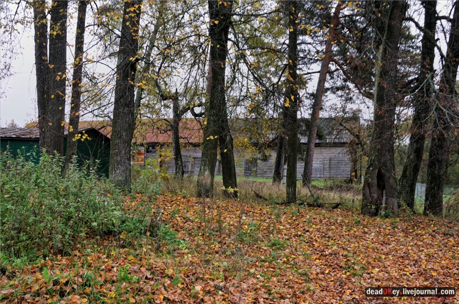 усадьба Лучки